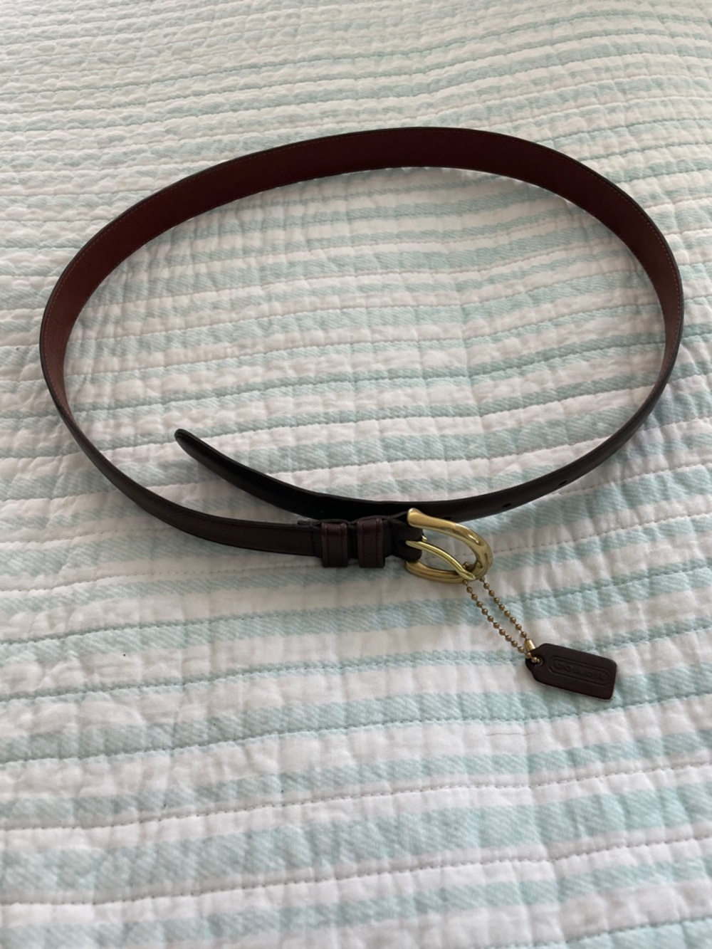 Coach Dark Brown Leather Belt with Gold Buckle